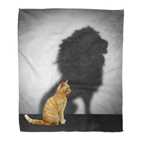 LADDKE Throw Blanket Warm Cozy Print Flannel Red Dream Cat Lion Shadow Courage Leader Career Comfortable Soft for Bed Sofa and Couch 58x80 Inches