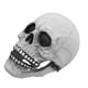 thumbnail image 4 of Máscara De Calavera Mandíbula Móvil,Máscara De Calavera Máscara De Esqueleto De Calavera De Halloween Máscara De Halloween Instalación Sin Esfuerzo, 4 of 8