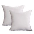 thumbnail image 1 of 40*40cm 2 piezas de almohada para cama, almohada para sofá en la sala de estar, almohada esponjosa. Estilo1 40*40cm, 1 of 5