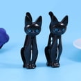 thumbnail image 5 of 4 pinzas de plástico creativas con forma de gato para colgar la ropa, pinzas para toallas de playa, pinzas de sellado para el hogar (negras), 5 of 5