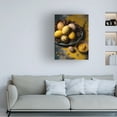 thumbnail image 2 of Canvas Wall Art - Treechild 'Yellow Eggs' Wall Art for Living Room, Bedroom, or Office Décor by Trademark Fine Art - 14 x 19 Inches - 14x19, 2 of 4