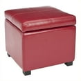 thumbnail image 1 of Safavieh Elizabeth Pouf de Rangement en Cuir de Hêtre en Rouge, 1 of 4