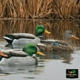 thumbnail image 3 of AVIAN-X Topflight Open Water Duck Durable Realistic Hunting Floating Mallard Decoys, Pack of 6, AVX8061, 3 of 10
