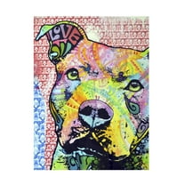 35x47 Gallery Wrapped Canvas Art