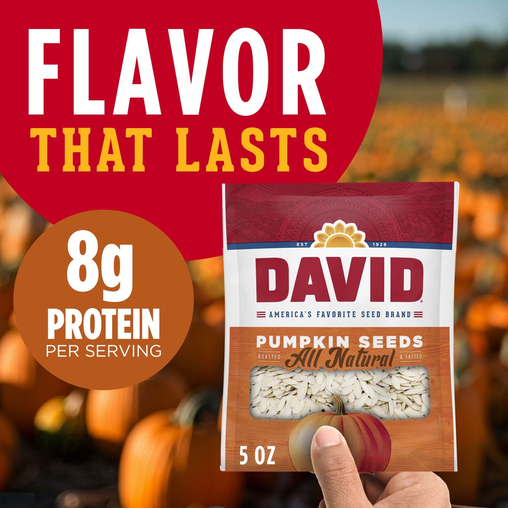 (2 pack) DAVID All Natural Pumpkin Seeds, 5 oz.