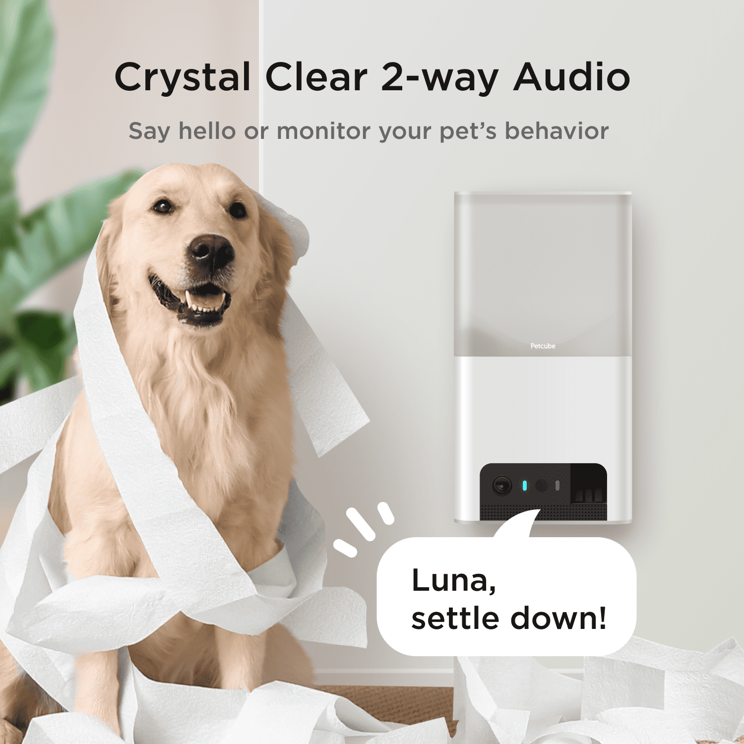 Petcube Bites 2 Lite WiFi Pet Camera with Treat Dispenser, 1080p HD Video, Two-Way Audio, Night Vision, Motion & Sound Alerts, Dog & Cat Monitor with App