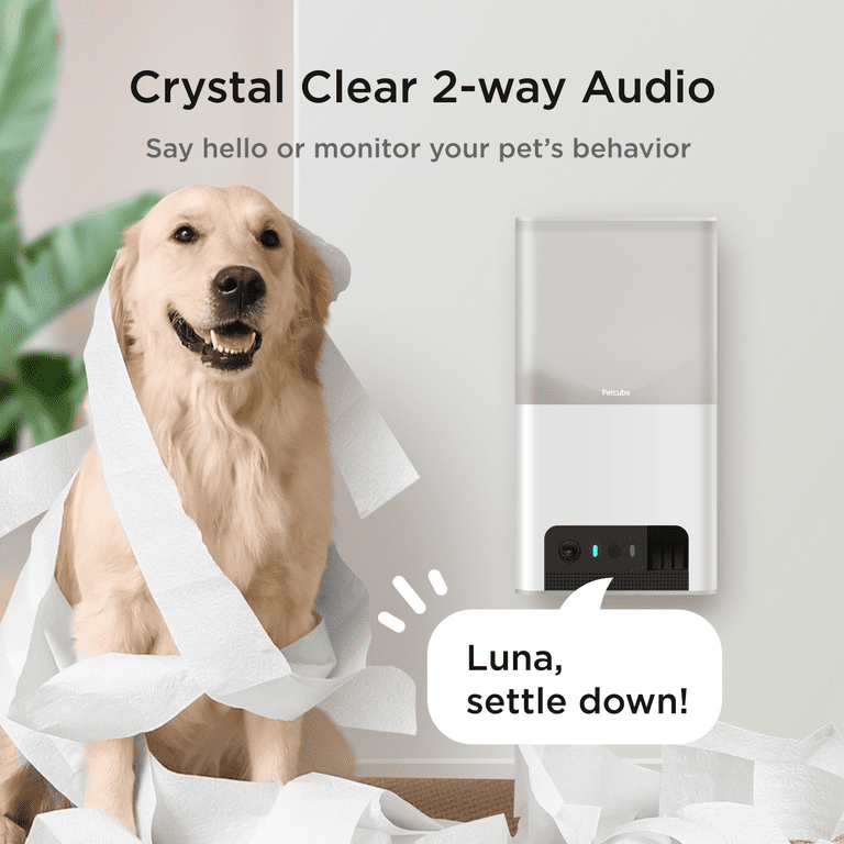 Petcube Bites 2 Lite - Interactive Pet Camera with Treat