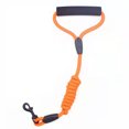 thumbnail image 1 of Small Medium Large Pet Leash Nylon Adjustable Traction Training Rope Portable Walking Jogging Strap Belt Harness Pets Supplies 0.8cm, 1 of 9