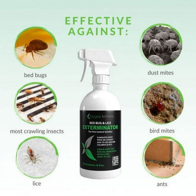 Bed Bug Exterminator Arlington Va