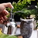 thumbnail image 3 of de Spray de material acero Inoxidable de 300 Ml para Regadera de Interior de Jardinería, de Riego de Suculentas para Exteriores CUTICAT botella de pulverización de plantas, 3 of 8