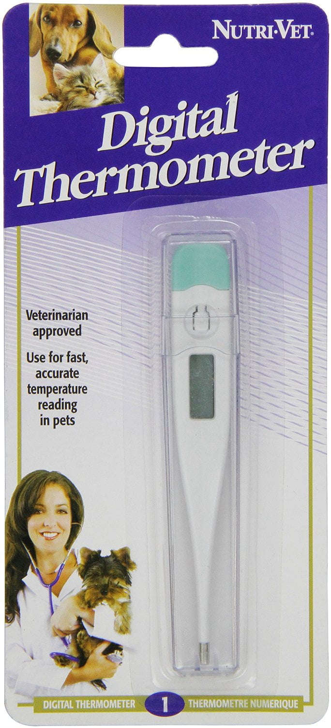 Thermometer Aid Digital Accurate Rectal Temperature Range