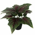thumbnail image 1 of Planta verde pequeña planta en maceta planta de simulación flor falsa decoración de ventana decoración del hogar adornos simulación flor planta en maceta (corazón rojo taro (loto)) ER, 1 of 4