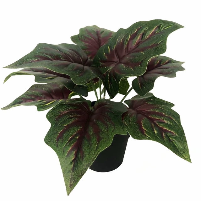 Planta verde pequeña planta en maceta planta de simulación flor falsa decoración de ventana decoración del hogar adornos simulación flor planta en maceta (corazón rojo taro (loto)) ER