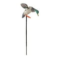 thumbnail image 2 of Flying Duck Realistic Full Body Mallard Drake Hunting Decoding, 2 of 8