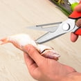 thumbnail image 7 of Multifunction Kitchen Food Scissors, Detachable Household Shears with Magnetic Holder, Stainless Steel Sharp Kitchen Shears for Meat/Vegetables/Fruit/BBQ (Black-red), 7 of 7
