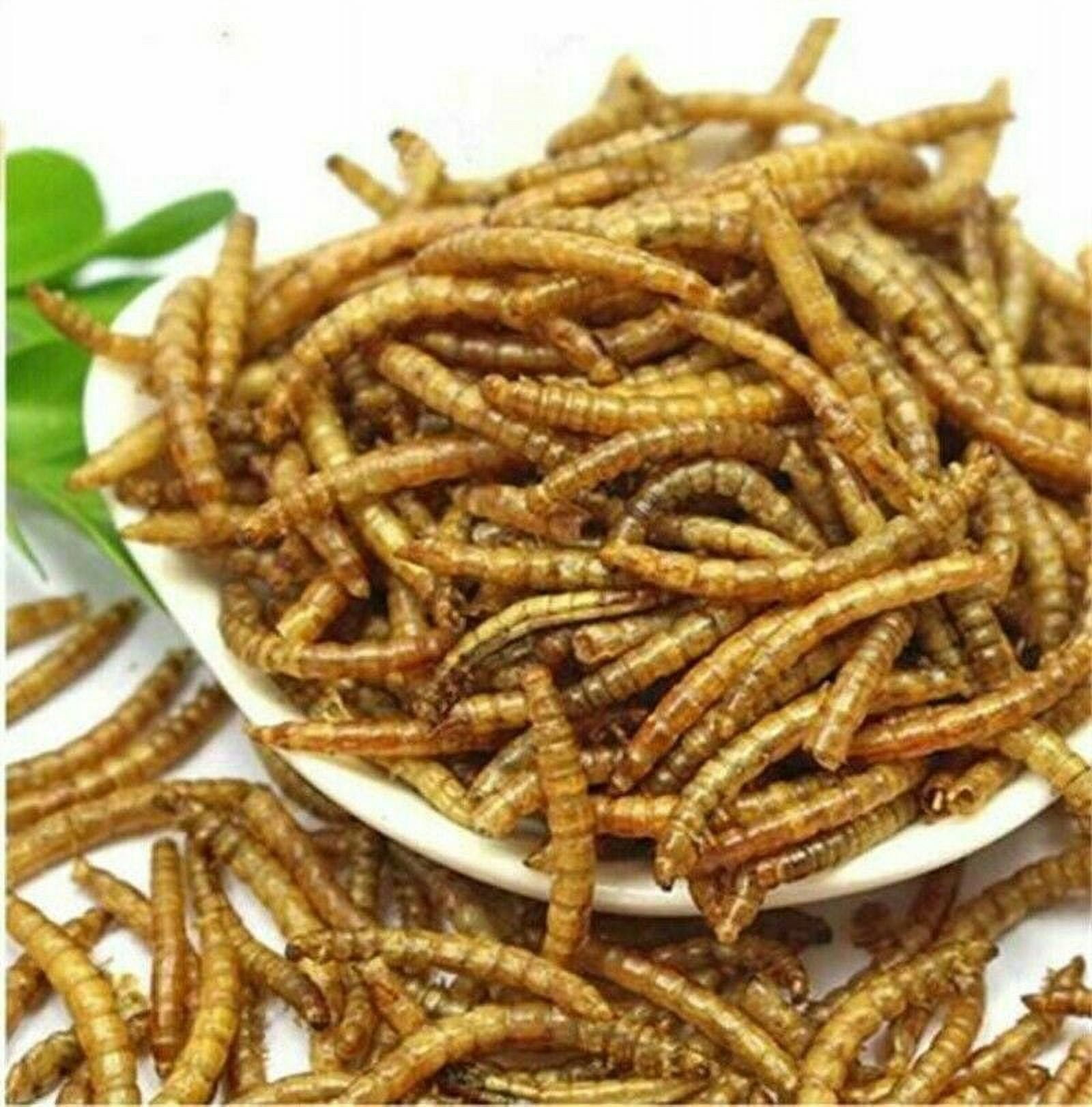 Dried Mealworms for Birds Chickens Hamster Fish Reptile Turtles 10 lbs Mealworms