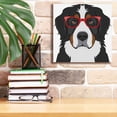 thumbnail image 6 of Epic Graffiti 'Bernese Mountain Dog Wearing Hipster Glasses' by Furbaby Affiliates, Canvas Wall Art, 12"x12", 6 of 8