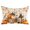 Deep Amber, Pale Pumpkin Sage, variant on Fall Pumpkin Throw Pillow Cover 16 x 24 Inch Decorative Pillow Cover Thanksgiving Harvest Maple Leaf Flowers Plaid Lumbar Pillowcase Seasonal Rectangle Cushion Case for Couch Sofa Bed Living Room
