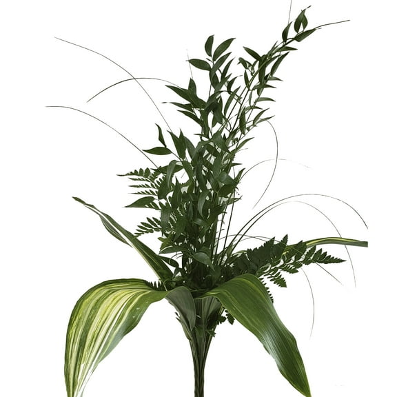 Chic Greens Bouquet 10 Pack of Farm Direct Fresh Cut Flowers Bouquets of Mixed Greenery by Bloomingmore