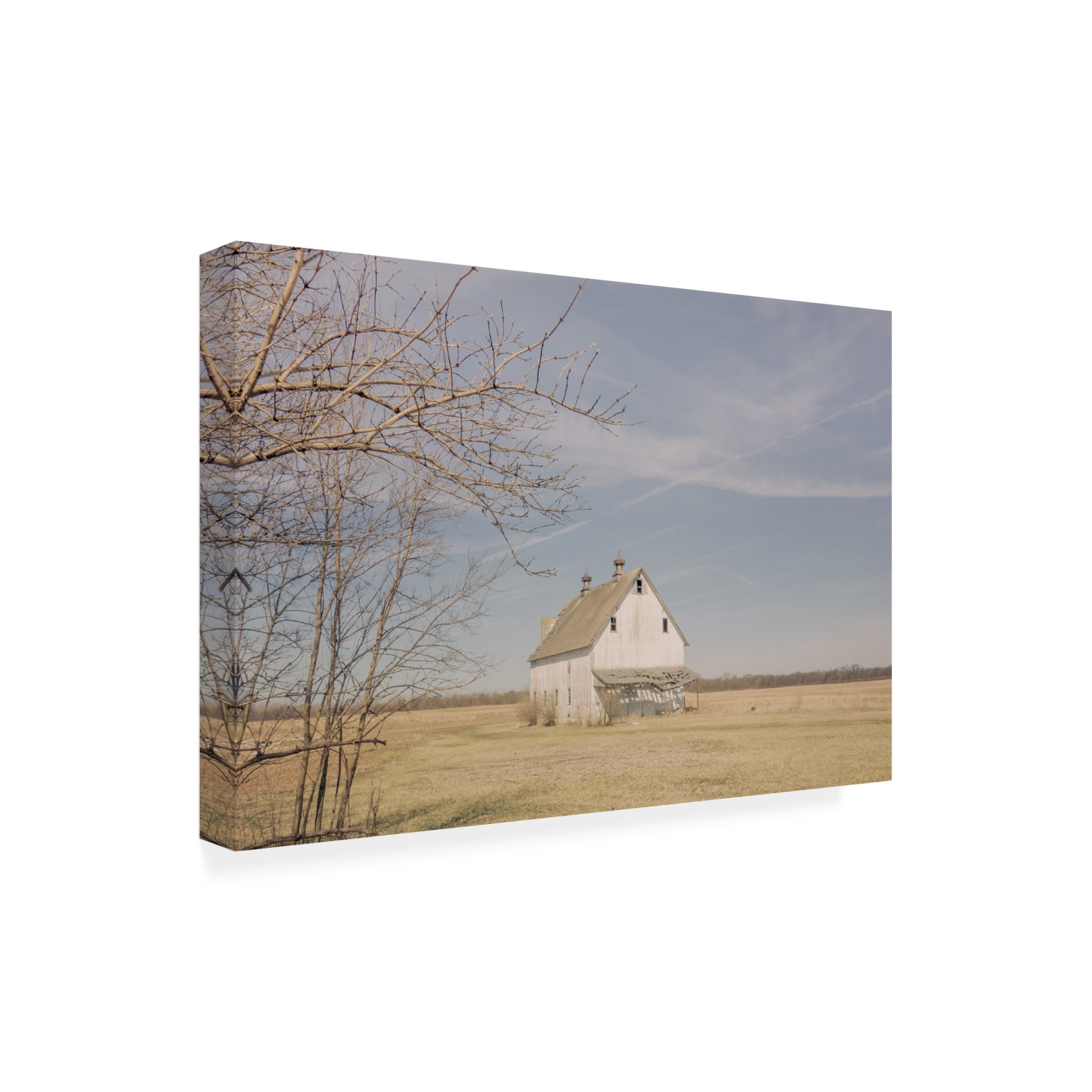Canvas Wall Art - Life BeautifuLEE 'Farm Life Long Ago 2' Wall Art for Living Room, Bedroom, or Office Décor by Trademark Fine Art - 32 x 22 Inches