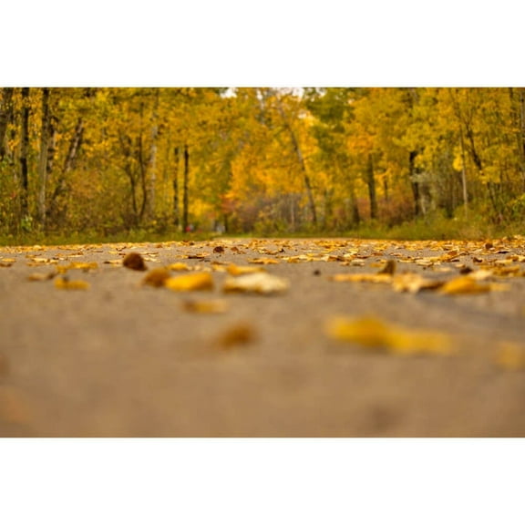 Boer "Autumn Road" Wall Decal