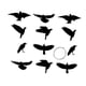 thumbnail image 2 of 18 Cuervos Decorativos Colgantes de Halloween, Esculturas de PVC Resistentes a la Intemperie Paquete de 12, 2 of 9