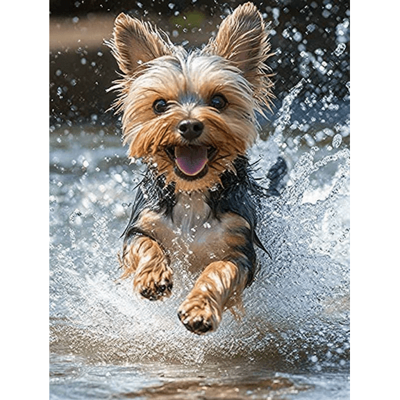 Yorkshire Terrier Dog Canvas Print/Wall Art，Suitable for Living Room， Bedroom， Bathroom， Kitchen， and Office Decoration.