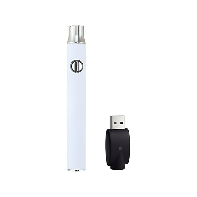 Kyusrd Outils d'Économies d'Été Offre Spéciale! Régulateur de Tension à Trois Vitesses Tige de Batterie Fer à Souder