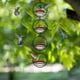 thumbnail image 5 of Hxlamzoo Thickened Glass Hummingbird Feeder, Outdoor Garden, Easy to Use, Great Gift Idea, 5 of 9