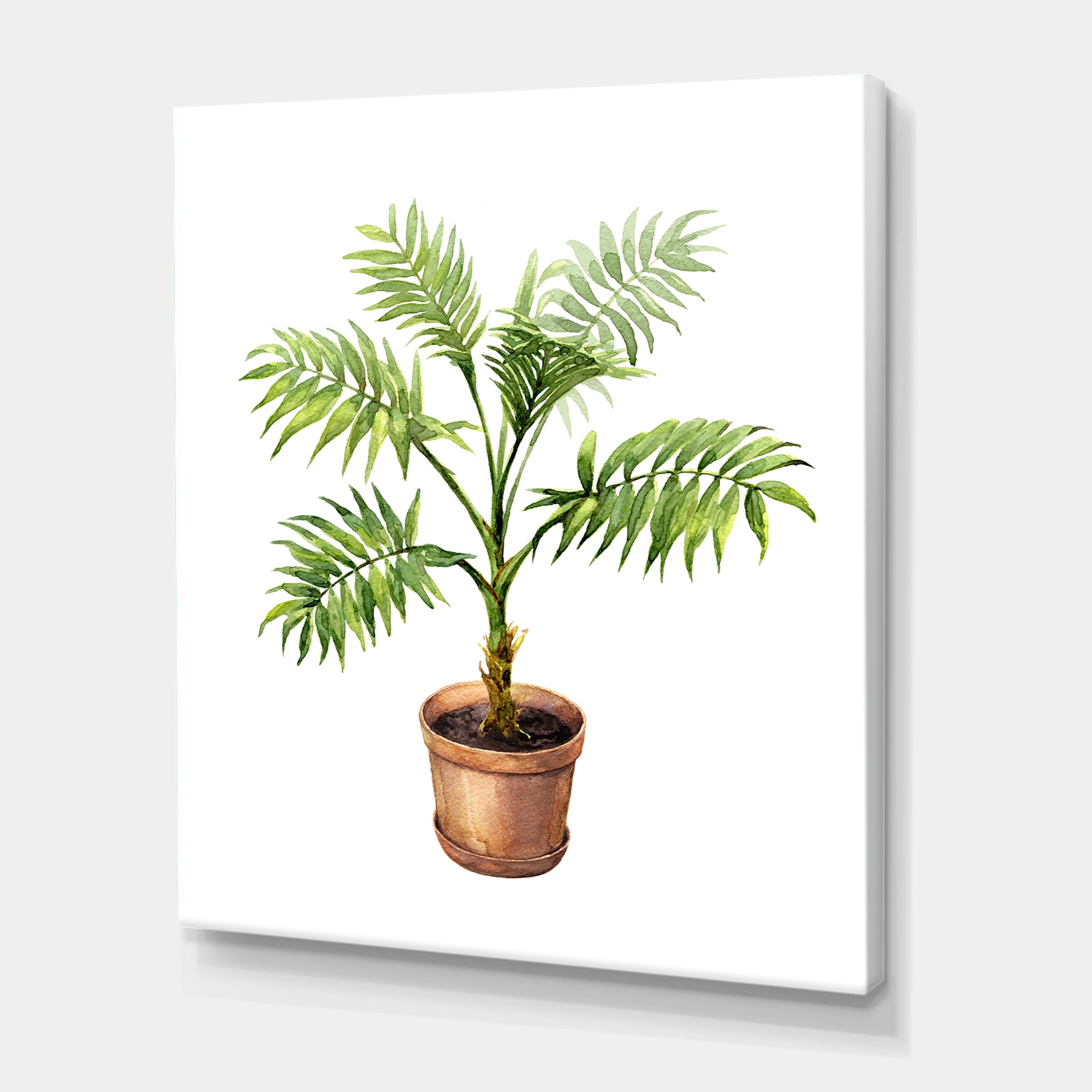Designart ' Palm Plant In Clay Flowerpot ' Traditional Canvas Wall Art Print