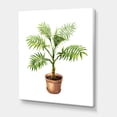 thumbnail image 3 of Palm Plant In Clay Flowerpot 8 in x 12 in Painting Canvas Art Print, by Designart, 3 of 4