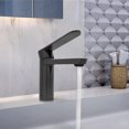 thumbnail image 2 of Lulani Yasawa Stainless Steel 1-Handle Single Hole Bathroom Faucet with Drain Assembly - Gun Metal, 2 of 7