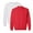 Ash+Red 2PCS, variant on Gildan Unisex Heavy Blend Crewneck Sweatshirt, 50/50 Cotton/Polyester Pullover Long Sleeve Fleece Winter Sweater (Charcoal 1PCS, L)