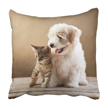 BPBOP Best friends kitten and small fluffy dog Pillowcase Throw Pillow Cover Case 16x16