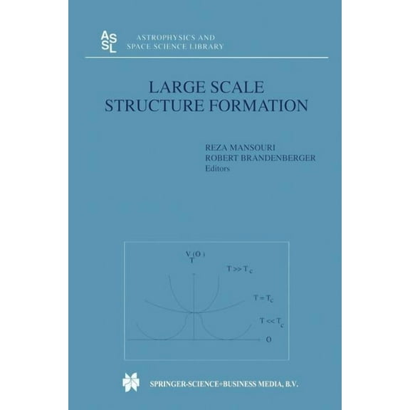 Astrophysics and Space Science Library Large Scale Structure Formation, Book 247, (Paperback)