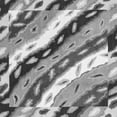 thumbnail image 1 of Ahgly Company Indoor Square Animal Gray Modern Area Rugs, 6' Square, 1 of 4