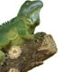 thumbnail image 4 of Escultura de lagarto, estatua de animal, colección de regalos artísticos, estatua de lagarto para estantería. Estilo B, 4 of 5