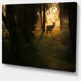 thumbnail image 2 of Cerf au Coucher du Soleil dans la Forêt Profonde - Grande Impression sur Toile, 2 of 4