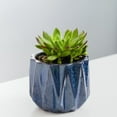 thumbnail image 6 of Better Homes & Gardens Pottery 5" Devi Round Ceramic Planter, Blue, 6 of 9