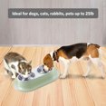 thumbnail image 4 of Comedero para mascotas, tazón de acero inoxidable, tazón de comida para mascotas, tazón de alimentación de doble lavabo MFZFUKR BST3004131-2, 4 of 5