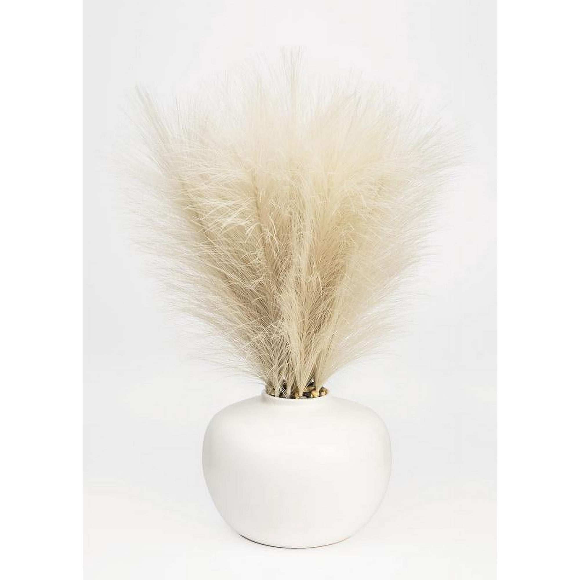 Better Homes & Gardens 14 in Artificial Pampas Grass in White Ceramic Vase