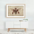 thumbnail image 5 of Megaloxantha - Drawing Vintage Botanical Retro Nature Art Deco Oak Framed Wall Art Print 16 x 24 inches, 5 of 6