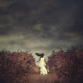thumbnail image 3 of Sozza, Fabio 15x15 Black Modern Framed Museum Art Print Titled - My Escape: A Girls Escape Into Her Dark Dreamworld, 3 of 5