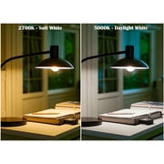 Great Value 18YR A19 LED Light Bulb, 13W (100W Equivalent) Dimmable Daylight E26 Medium Base (4 Pack)