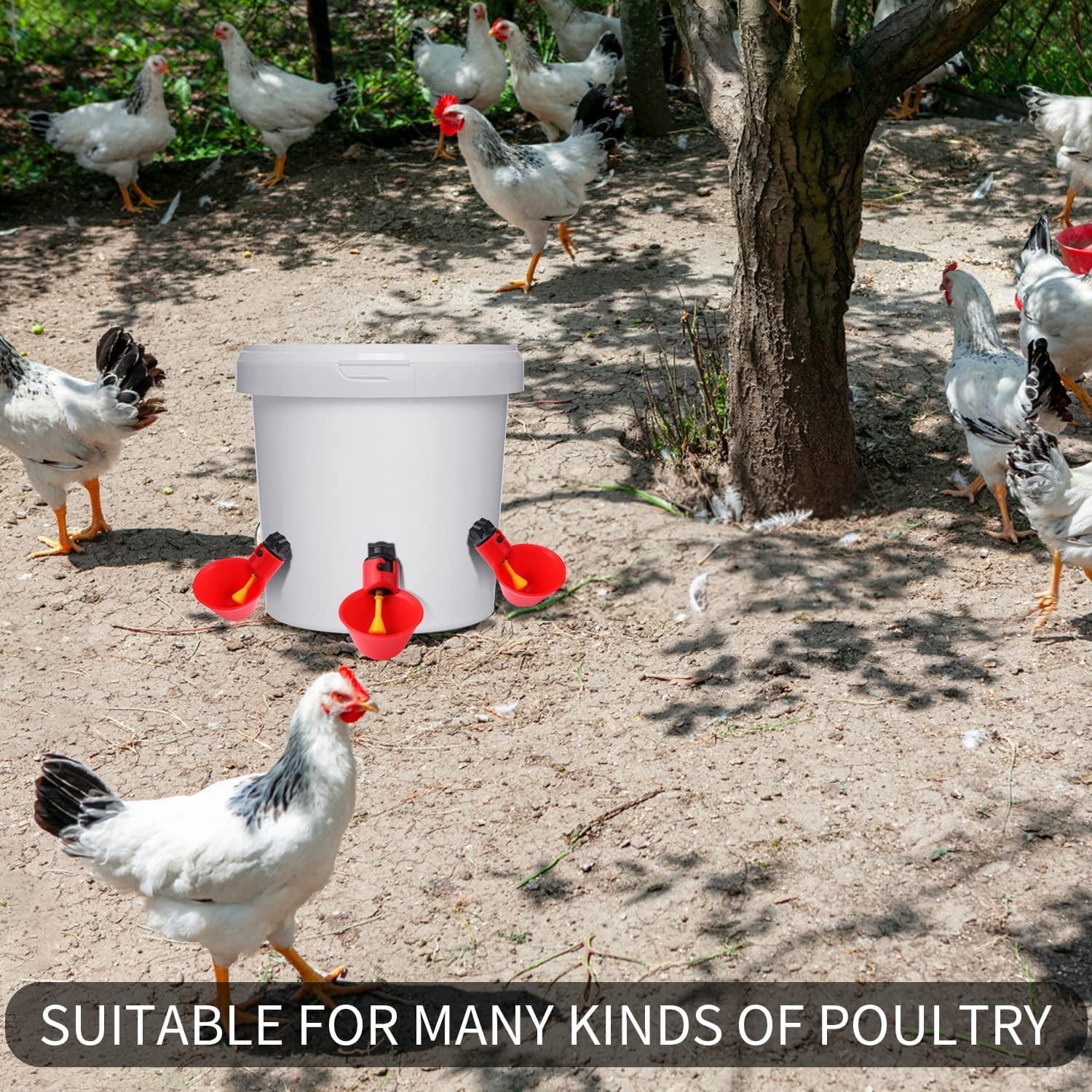 Chicken Drinker Cups 10Pcs Automatic Plastic Poultry Drinker Waterer 1/2inch Tee Water Drinking Dispenser Cups Bowls for Bird Quail Pigeon Hen Livestock 