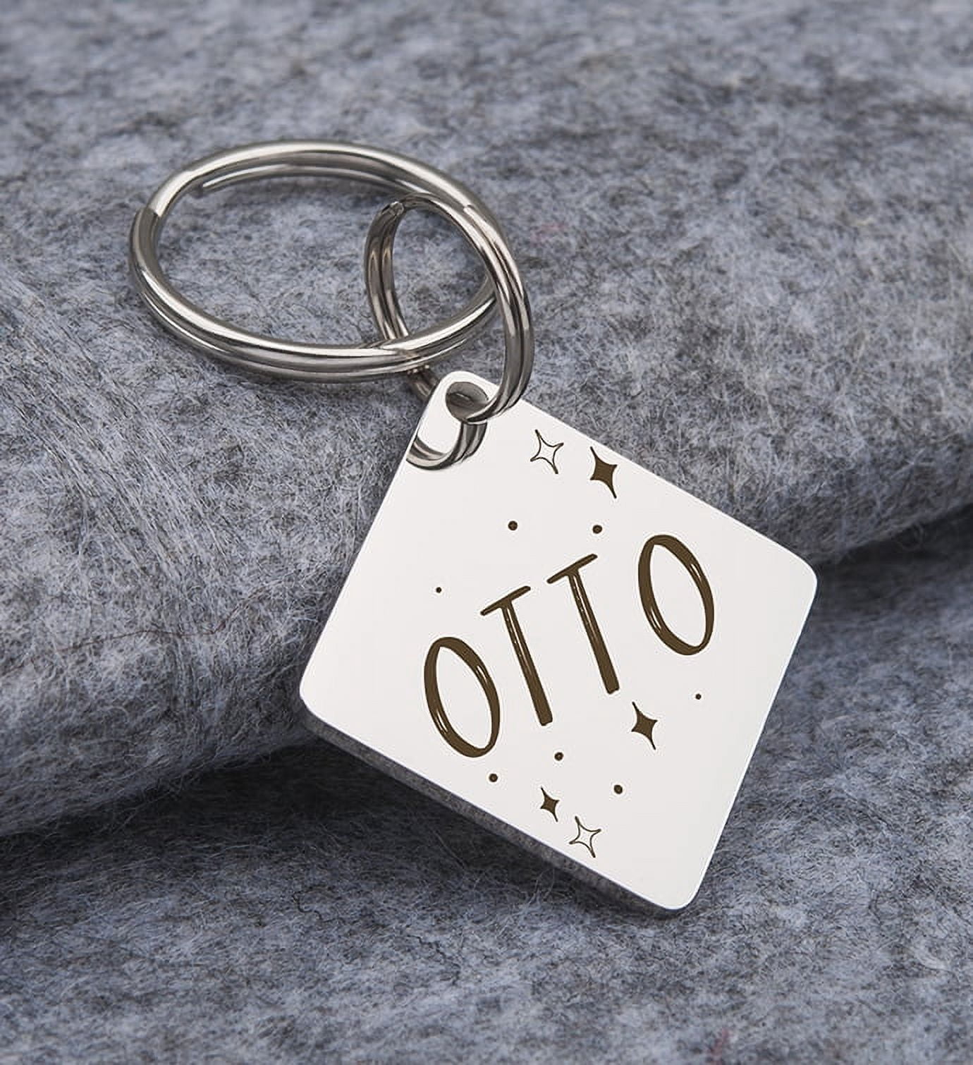 Anavia Stainless Steel Double Sided Diamond Name - Frame Engraved Dog & Cat ID Tag, Silver, L