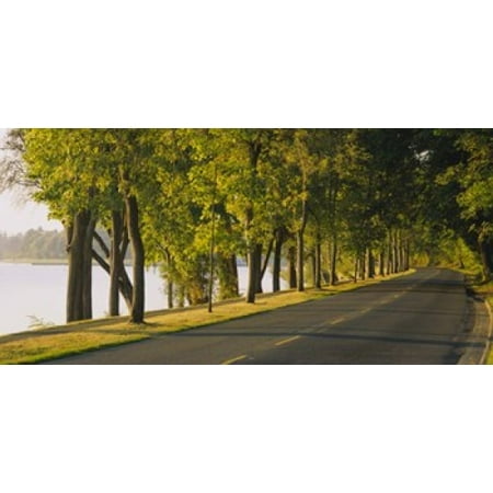 Trees along a road Lake Washington Boulevard Seattle Washington State USA Poster (Best Lakes In Washington State)