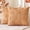 Orange Pumpkin, variant on decorUhome Fall Throw Pillow Covers 18x18 Pack of 2, Soft Plush Faux Wool Couch Pillow Covers, Orange (Pillow Cover Only, No Inserts Included)