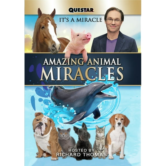 Amazing Animal Miracles