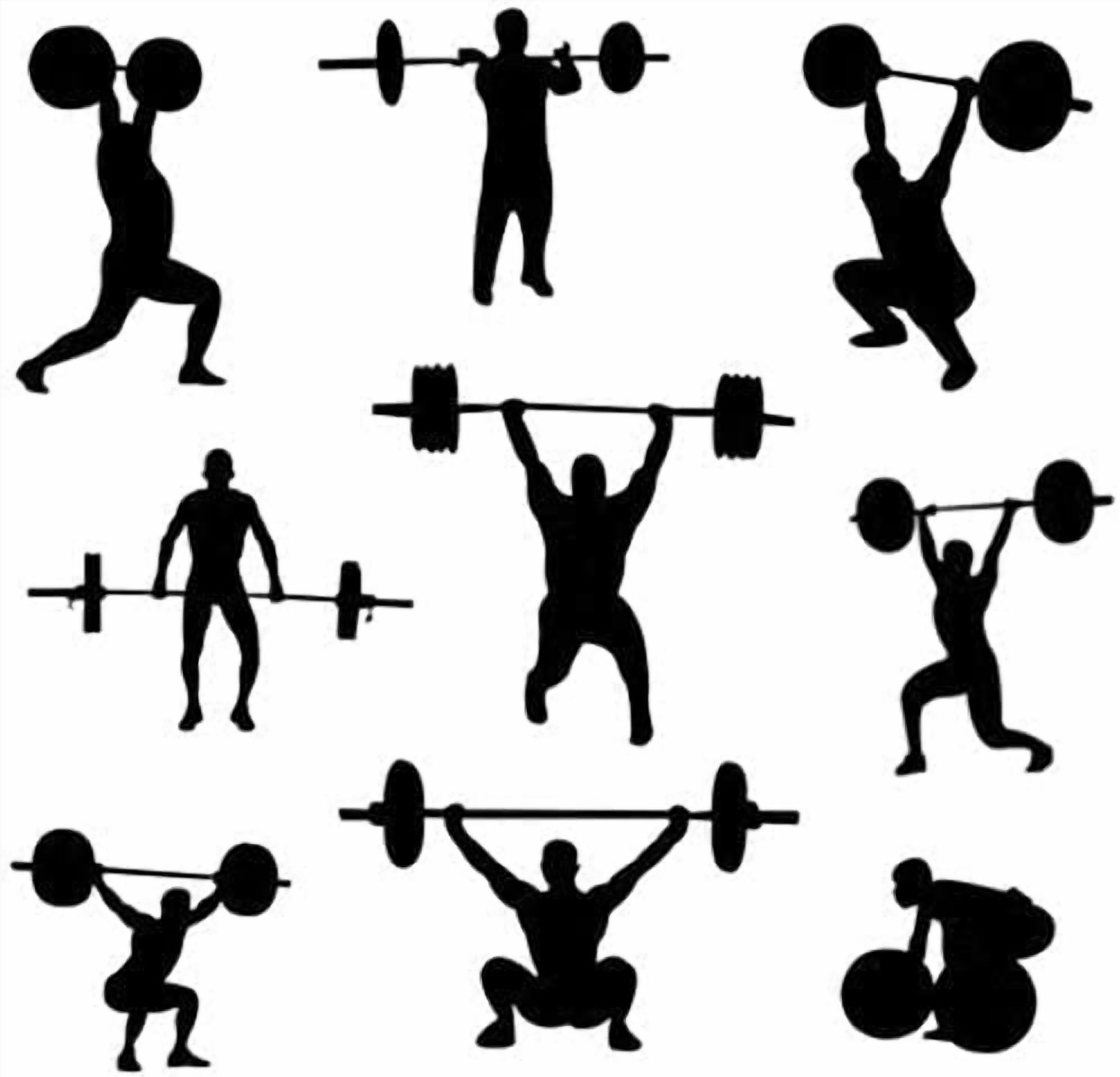 Exercise Equipment Barbell Bar for 2" Olympic Plates, Home Gym Weightlifting Bar 4Ft Solid Weight Bar Fitness Training Curl Barbell,Workout Equipment